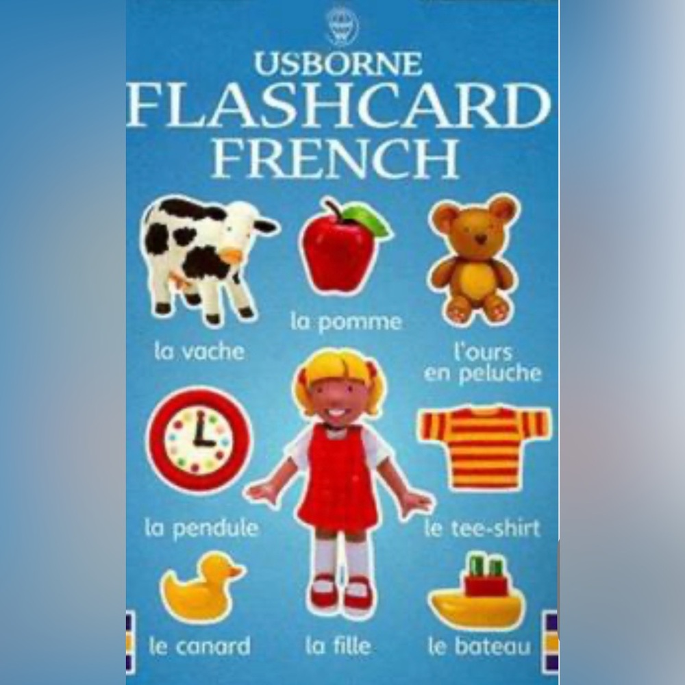 Usborne Everyday Words 49 Flashcards (English - French) By Lisa Miles Litchfield
